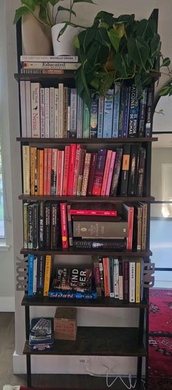 Industrial 6-Tier Ladder Bookshelf (Wall Mounted)