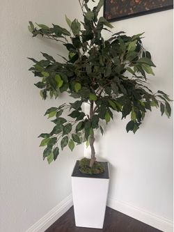 Artificial plants