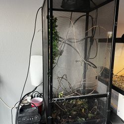 Exoterra XL Chameleon Cage Set Up