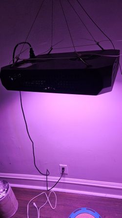 LED grow light