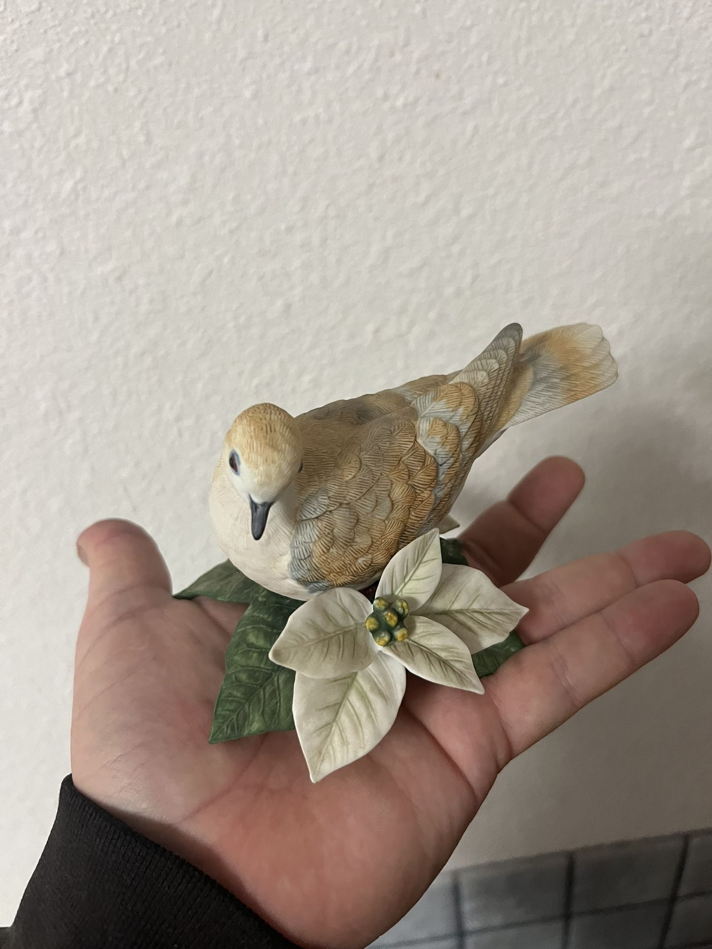 Lennox Turtle Dove