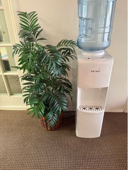 Cooler and decorative plant