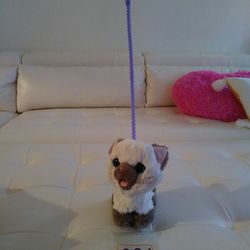 FurReal My Poopkin Kitty Toy