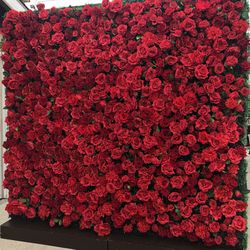 Rose Wall