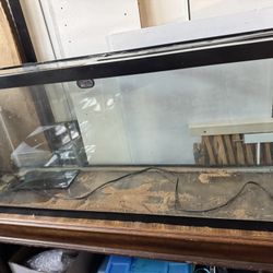 100 Gallon aquarium