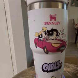Power Puff Girl Stanley