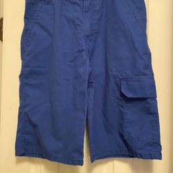 Boys Shorts Size 16 By Levis