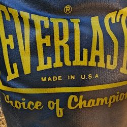 Everlast / Durable Punching Bag