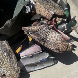 There’s Over 60 Decoys Some Of Them Are Power Power. Turkeys Camouflage Covers.