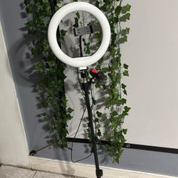 Ring Light
