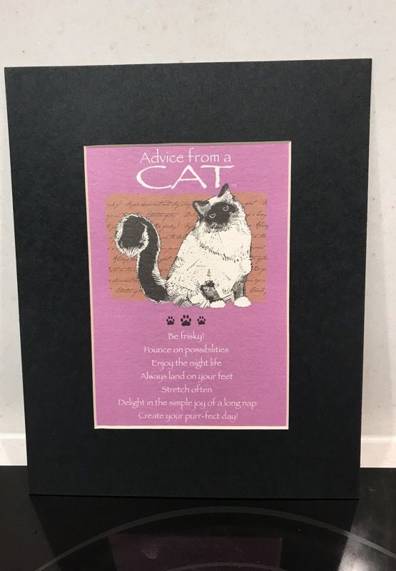 Matted Print advice From a Cat