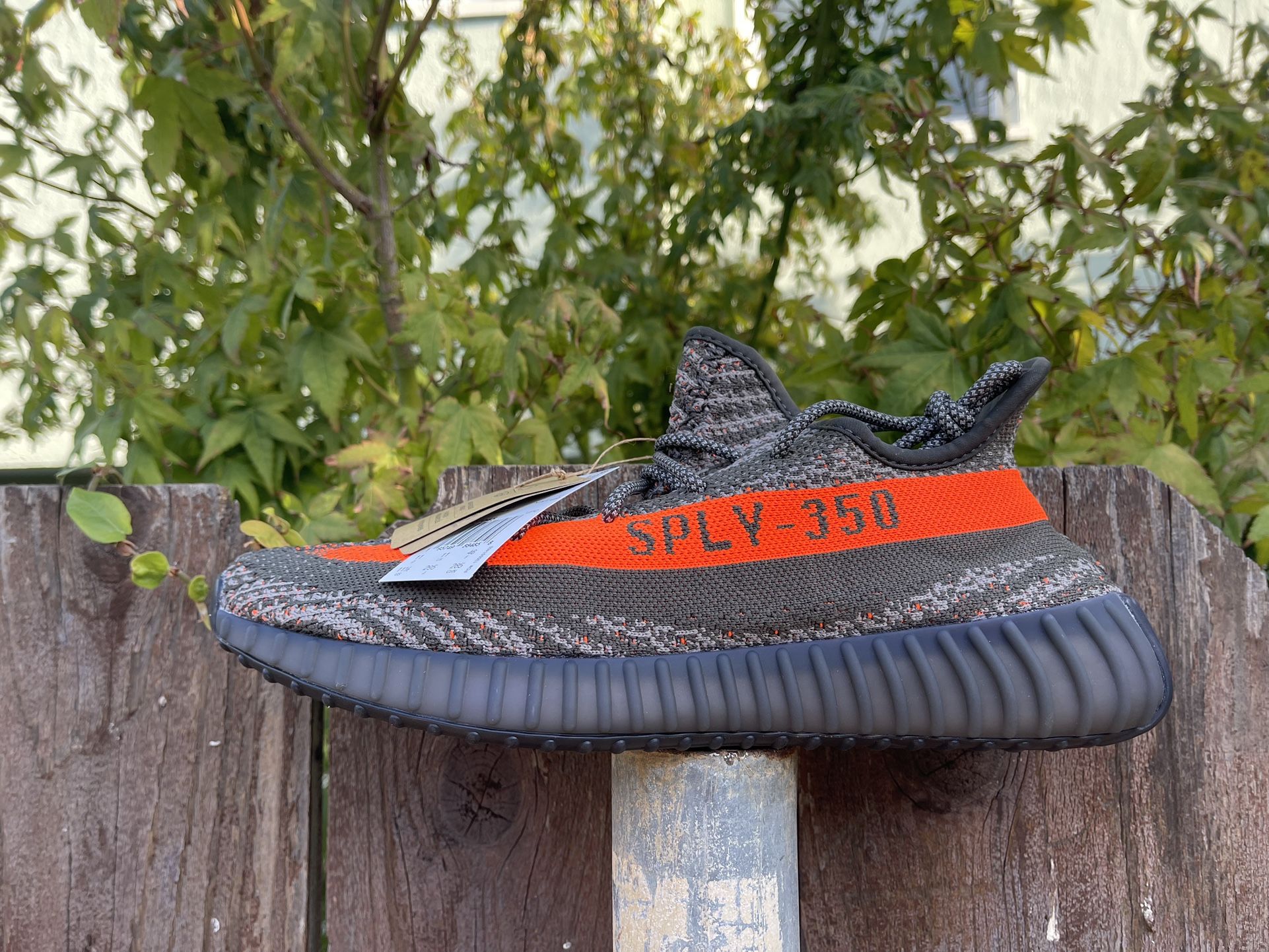 Adidas Yeezy Boost 350 V2 “ Carbon Beluga “ Size 11.5