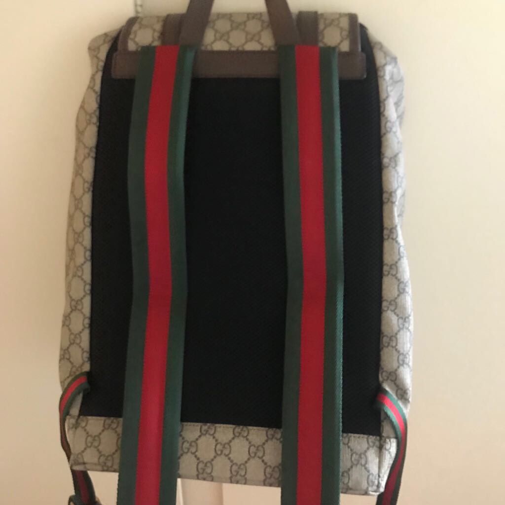 Gucci backpack tiger Louis Vuitton Prada snake for Sale in Los Angeles, CA  - OfferUp