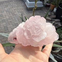 Rise Quartz Carved Rose 12.3 Ounces