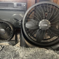 Fan 