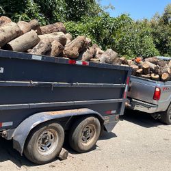 Firewood 
