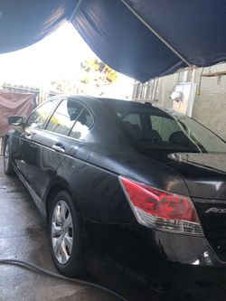 Whole thing for sale