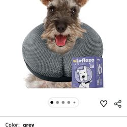 New Inflatable Dog Cone
