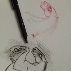 HORSES SKETCH    HAND DRAWN 