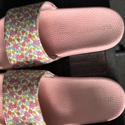 Pink Slippers 