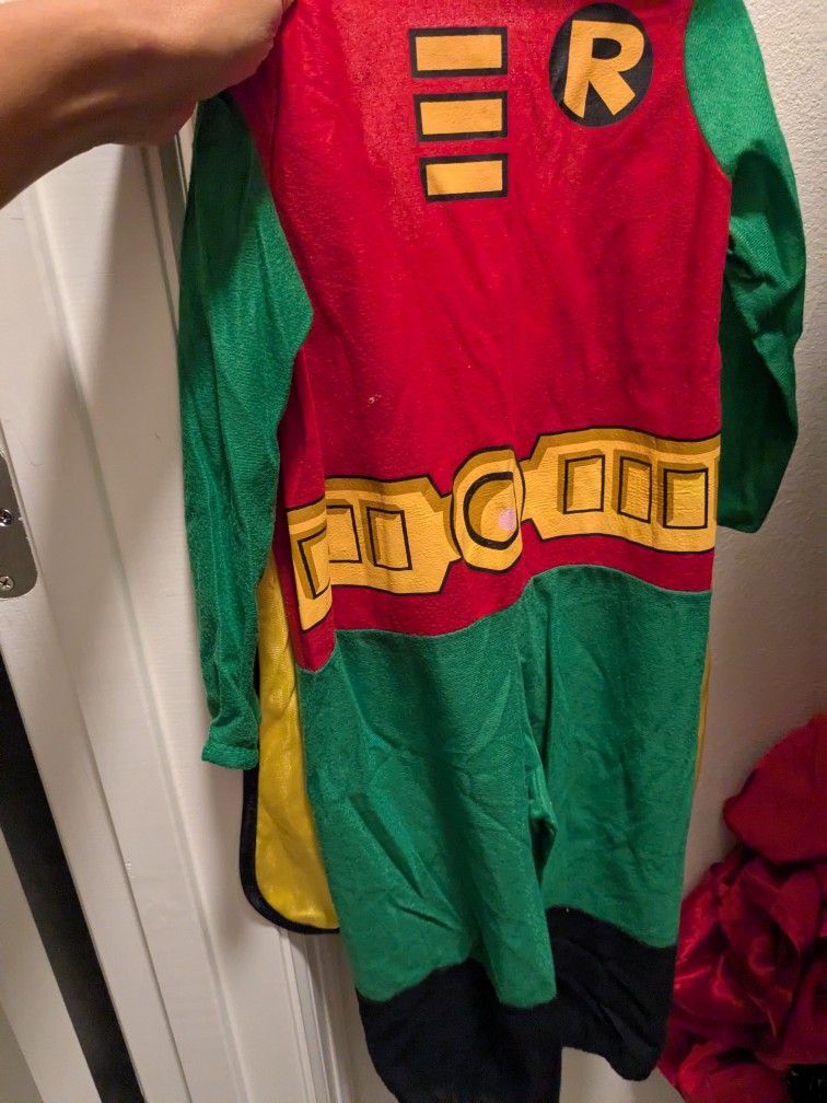 Robin Halloween Costume