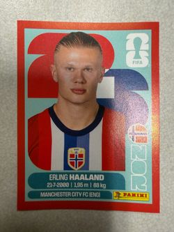 ERLING HAALAND RED PARALLEL