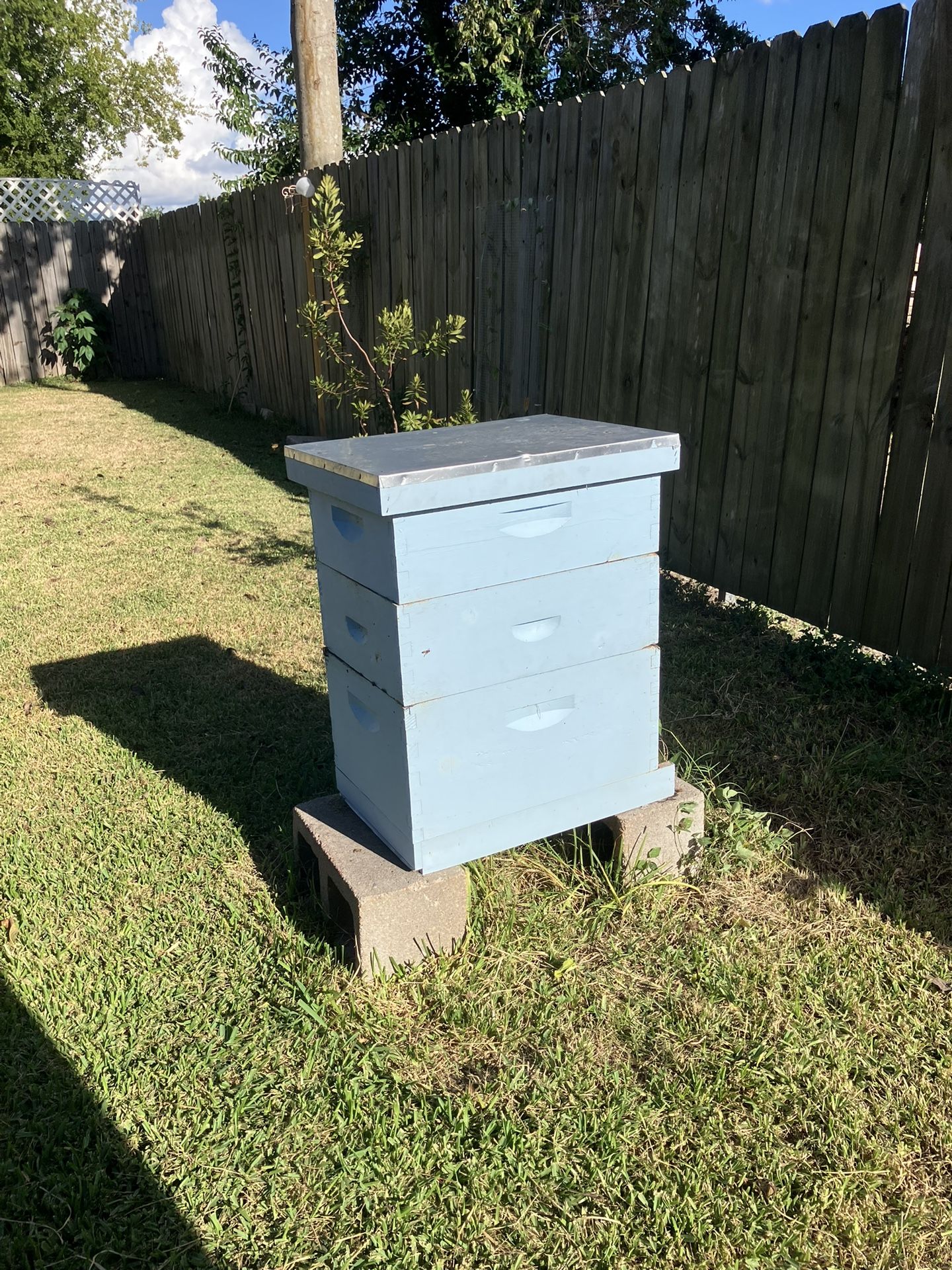Full Bee Keeping Supplies 