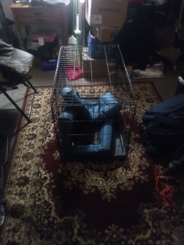 Animal Kennel