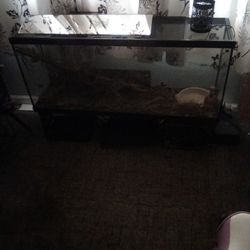 Large Fish Tank 