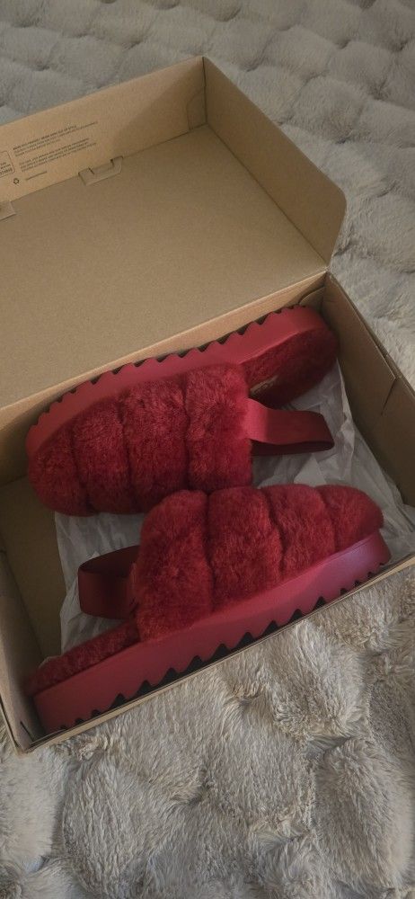 Ugg Slippers