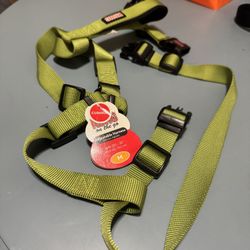 LARGE DOG HARNESS & MEDIUM DOG COLLAR 