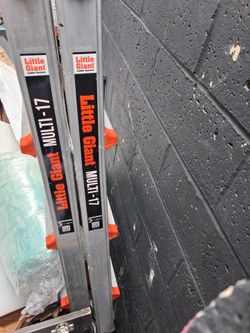 Little giant ladder