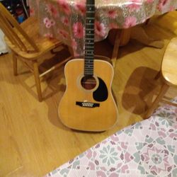 Acoustic Guitar