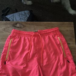 Extremely rare Nike ACG Woven training/ running shorts