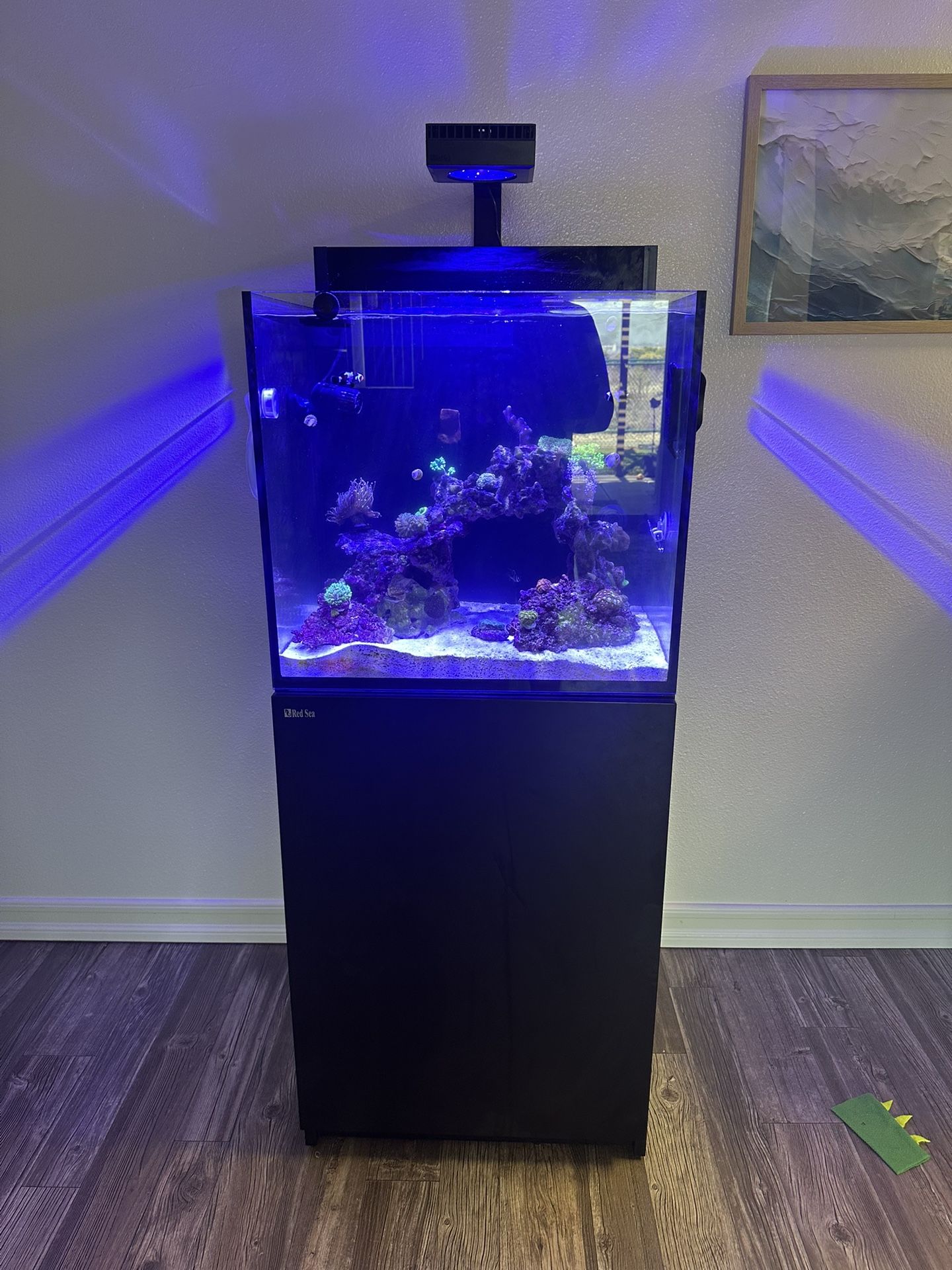 For Sale: Red Sea Reefer E-Max 170 (50 Gallon) Reef Tank