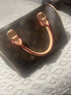Louis Vuitton Monogram Speedy Handbag