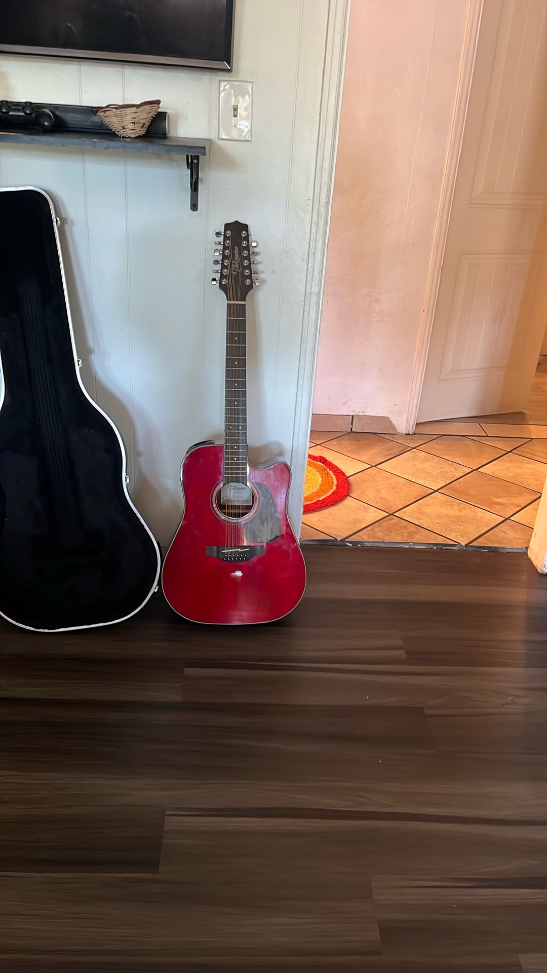 Guitar Brand New Case Included