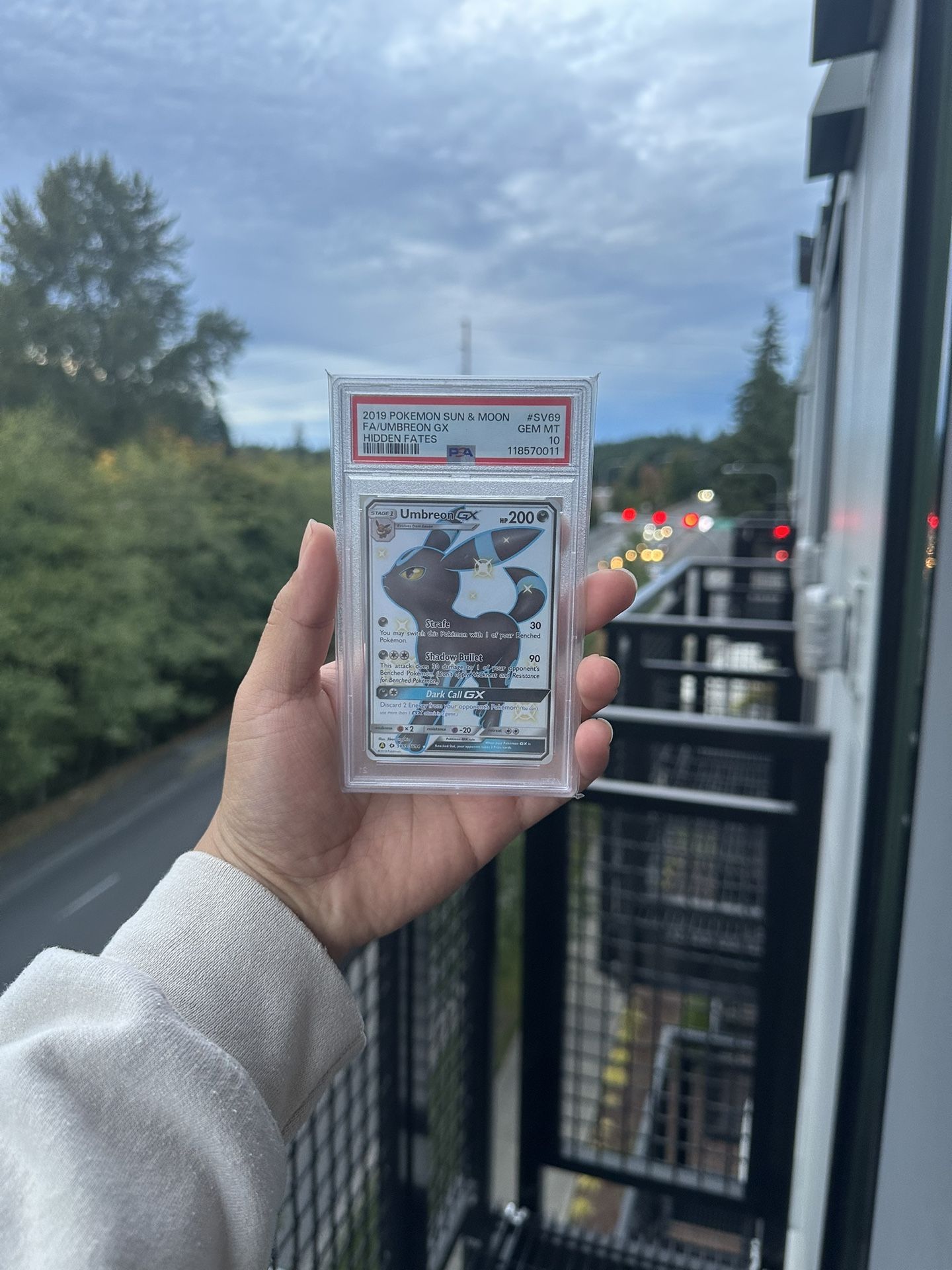 Pokemon Cards!