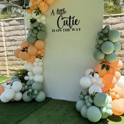 Gender Reveal Balloon Garland 