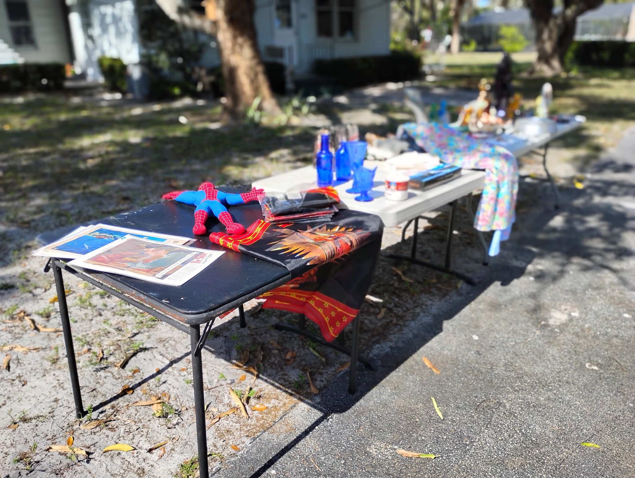 Plates Yard Sale. Rocks Coins Antique Horse Blankets