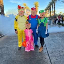 3 Super Mario Family Costumes 