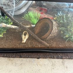 Lizard/fish Tank