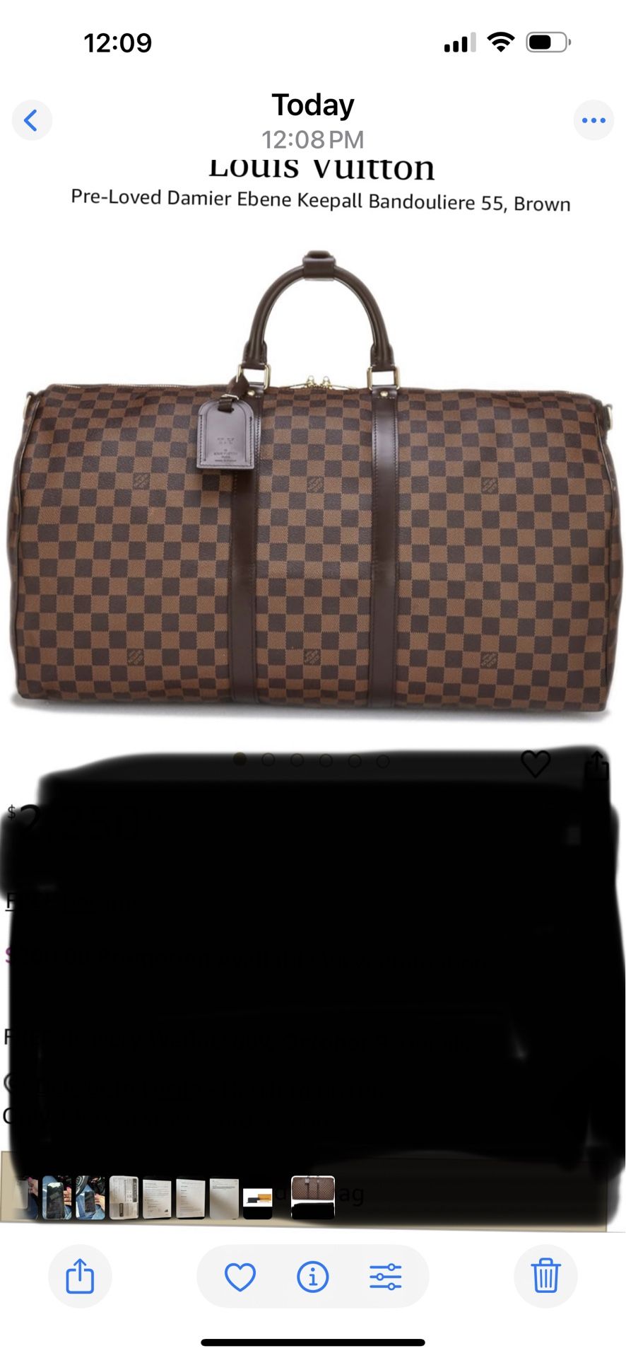 Louis Vuitton Damien Ebene Duffel Bag