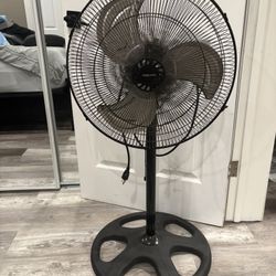 Fan 