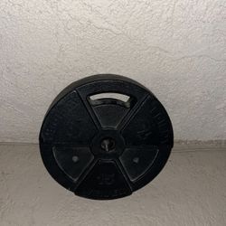 15 Pound Weight 