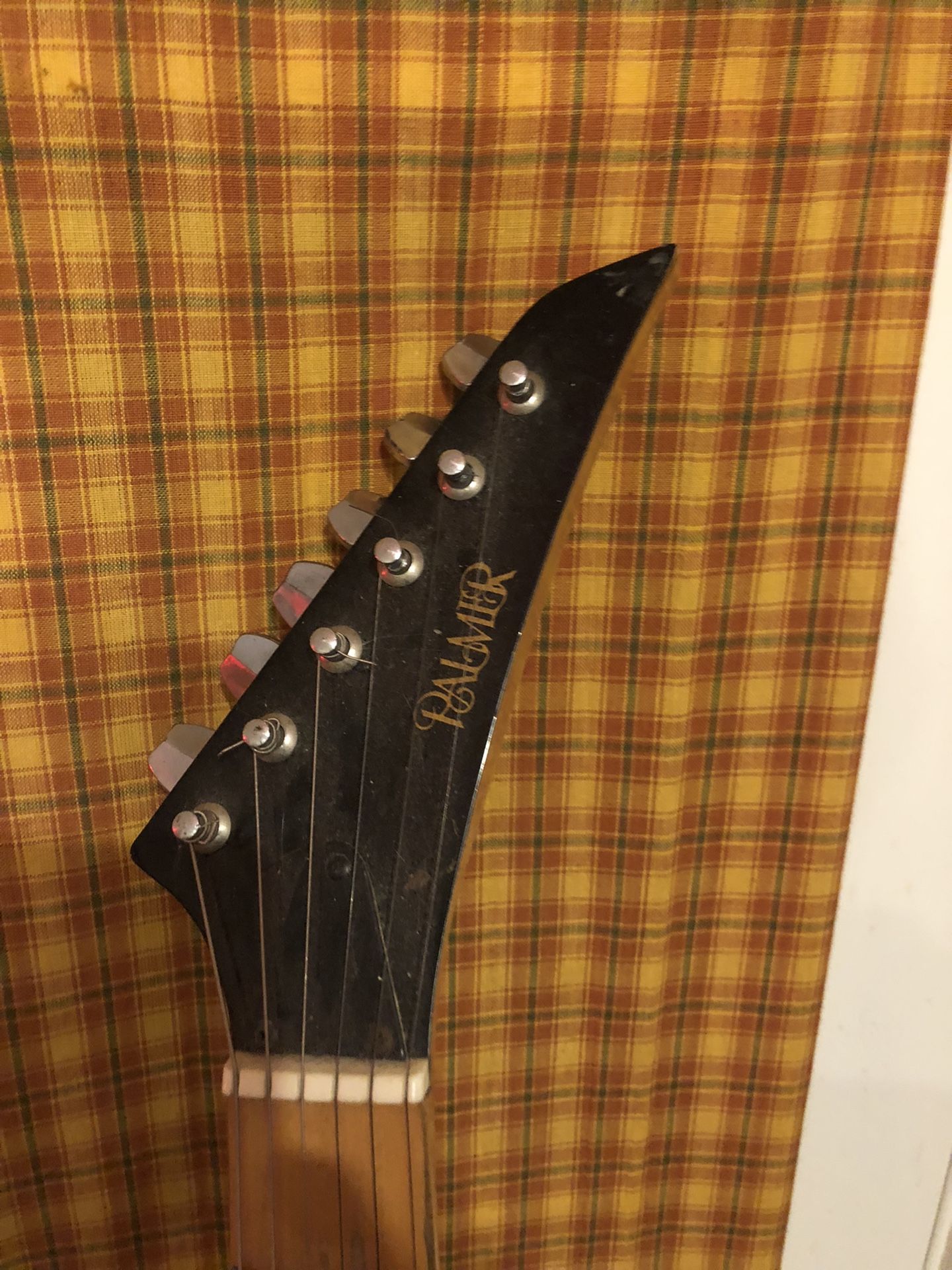 Palmer Guitar