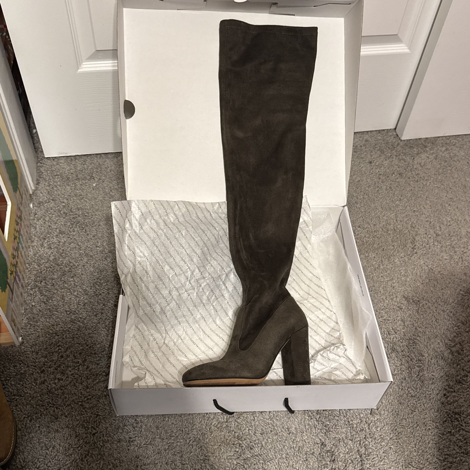 Aldo High Knee Heel Boots