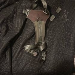Reddy Dog Harness
