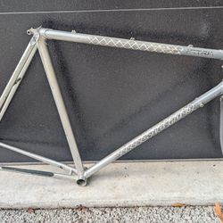 Shogun Steel 56cm Frame