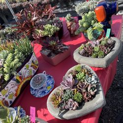 Happy Valentine Day We Have Arrangements Available Ready To Go From $10 And Up 